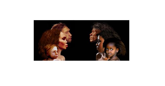 Due famiglie a confronto: Neanderthal vs Sapiens Due famiglie a confronto: Neanderthal vs Sapiens